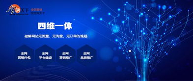 初入互聯網 全網營銷推廣產品與銷售的實用指南