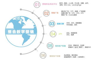 成都網絡營銷外包公司的選擇指南 優化互聯網銷售策略