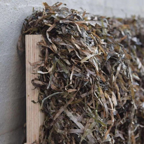 紡織新材料引領未來 2020年最新材料在產品設計中的創新應用與市場銷售展望